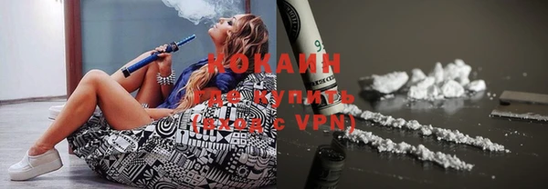 шишки Заволжье