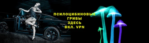 шишки Заволжье