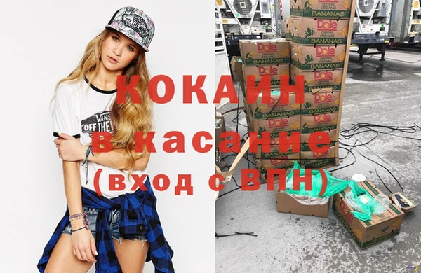 шишки Заволжье