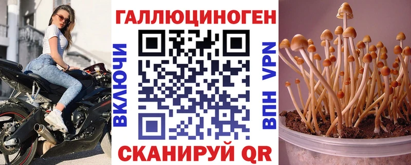 Галлюциногенные грибы MAGIC MUSHROOMS  Купить где  Ливны 